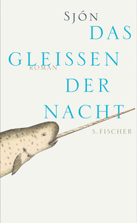 das-gleissen-der-nacht