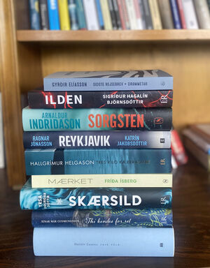 Stafli-af-donskum-bokum-2024