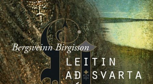 Leitin-ad-svarta-víkingnum