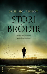 1-Stori-brodir