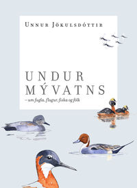 Undur-Myvatns