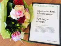 Viðurkenningarskjal með umsögn um verkið 500 dagar af sólskini